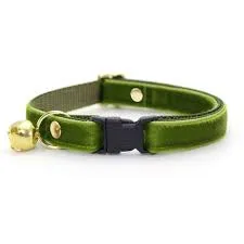 Luxury Velvet Collar