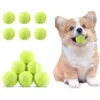 Mini Tennis Ball
